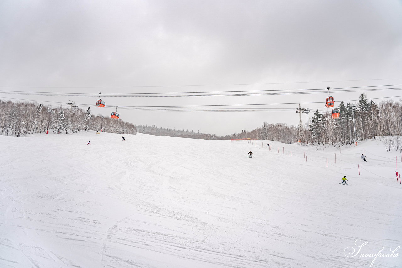 札幌国際スキー場　街は雨でも、山は雪！広々ゲレンデに思う存分シュプールを描こう(^^)/